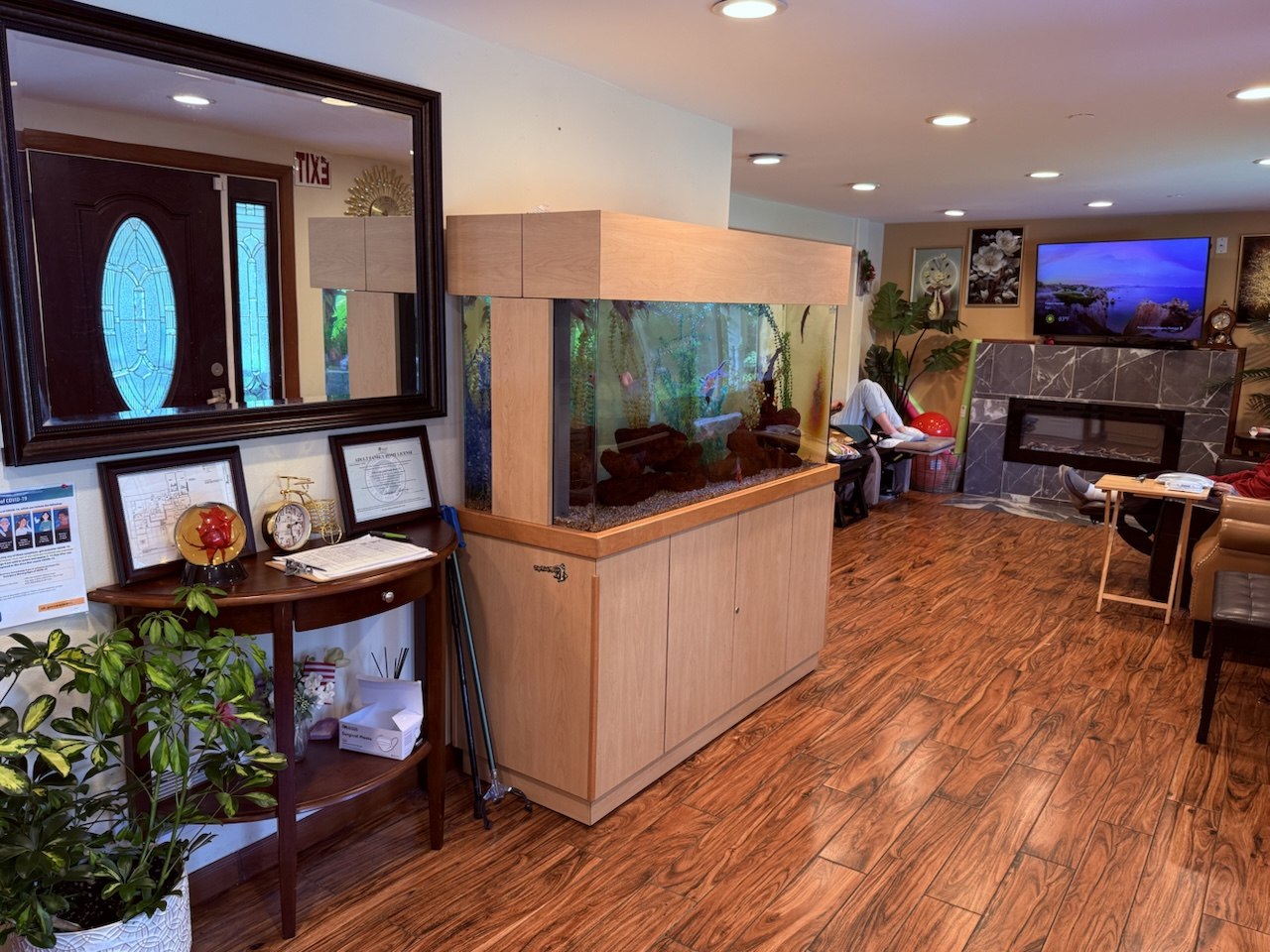 Aquarium feature