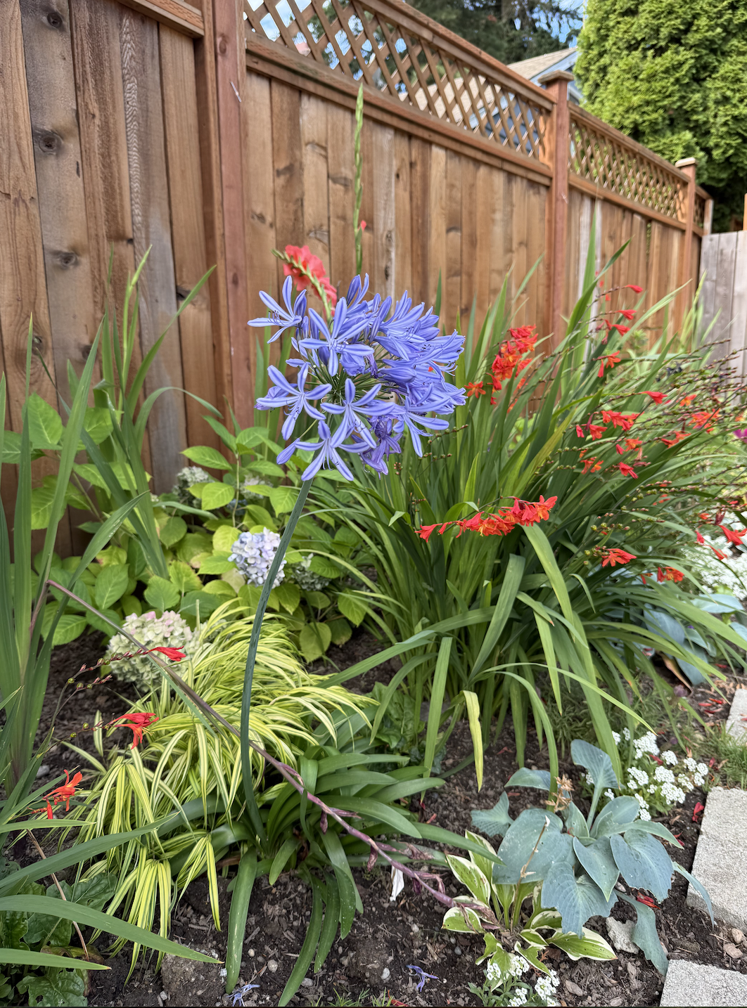 Flower beds