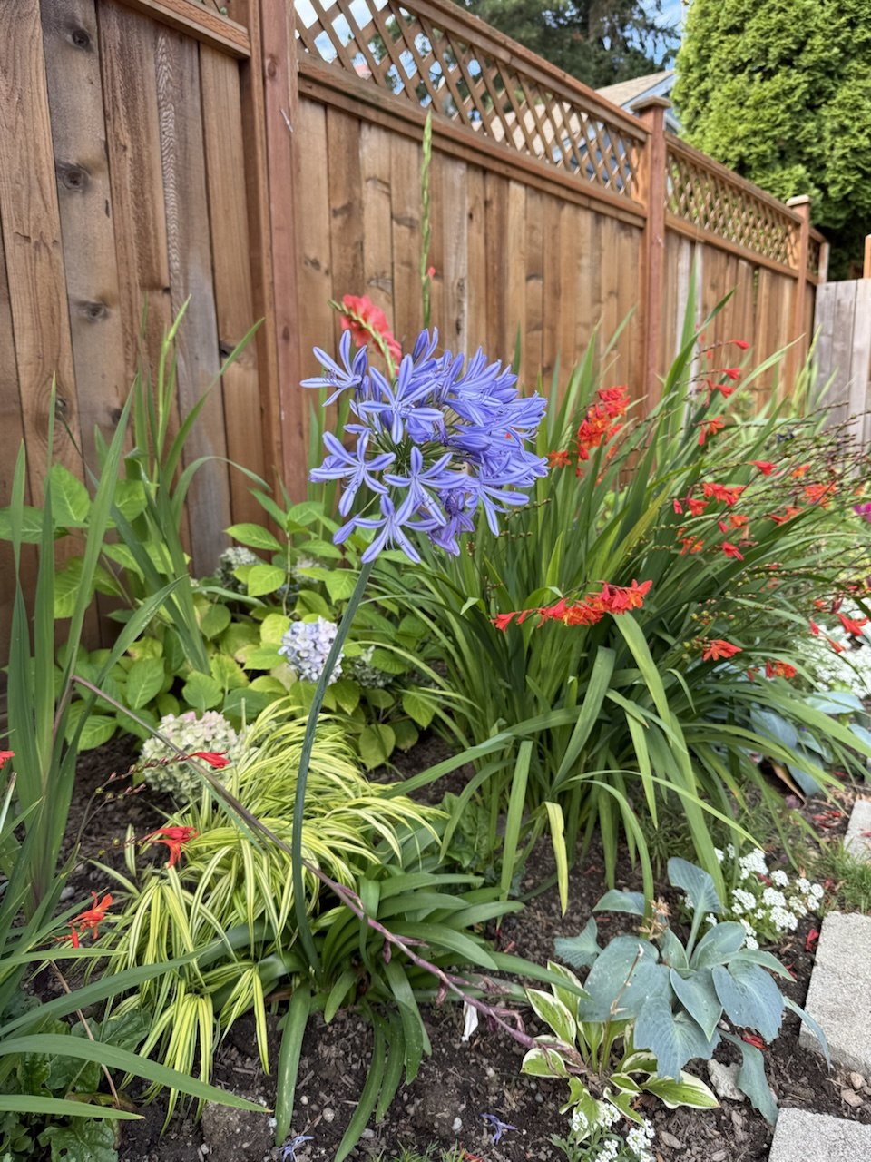 Garden views
